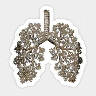 Lung Anatomy art, Cancer Awareness Sticker